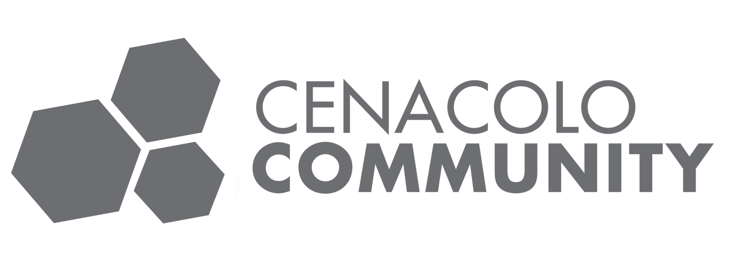 Community Cenacolo Lent Retreat